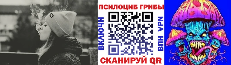 сайты даркнета состав  Эртиль  Галлюциногенные грибы мицелий 