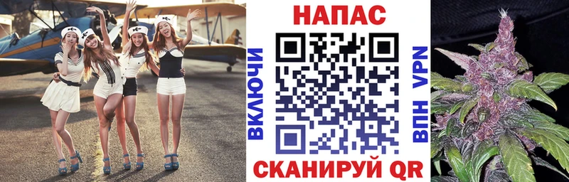 МАРИХУАНА план Эртиль